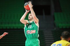 Το shooter's instinct του Ρογκαβόπουλου που είχε ανάγκη ο Παναθηναϊκός