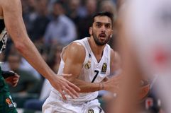 Δεν παίζει με τον Ολυμπιακό ο Καμπάτσο, ο Ερυθρός Αστέρας δεν πρόλαβε να τον… ενεργοποιήσει