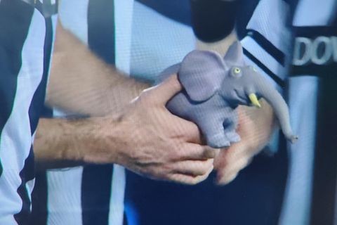 Τι είναι το ελεφαντάκι που κρατούσε ο Οζντόεφ στην πανηγυρική φωτό μετά το ΠΑΟΚ-Παναθηναϊκός 2-0 (pic)