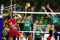Live streaming: Ολυμπιακός - Παναθηναϊκός για τη Volleyleague γυναικών