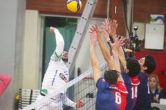 Τα highlights από τη νίκη του Παναθηναϊκού κόντρα στον Πήγασο Πολίχνης