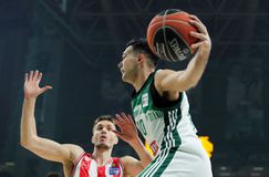 Σοκ στον Παναθηναϊκό - Τέλος ο Σλούκας από το ντέρμπι