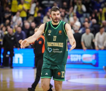 Ρογκαβόπουλος: «Απαράδεκτη η συμπεριφορά στο γήπεδο - Δεν έκανε κάτι ο Αταμάν»