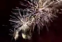 Το  «πάρτι» με καπνογόνα και πυροτεχνήματα έξω από την «Allwyn Arena» την ώρα του ΑΕΚ - Λεβαδειακός (vid)