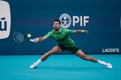 Οπαδός χτύπησε τον Τζόκοβιτς με μπάλα στο κεφάλι (vid)