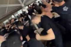 «Χαμός» από τον κόσμο του ΠΑΟΚ στα τσιπουράδικα του Βόλου (vid)