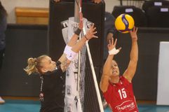 ΟΛΥΜΠΙΑΚΟΣ - ΠΑΟΚ