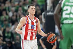 Ο Νέντοβιτς απολαμβάνει τις διακοπές του με άρωμα... Παναθηναϊκού και Σλούκα! (pic)