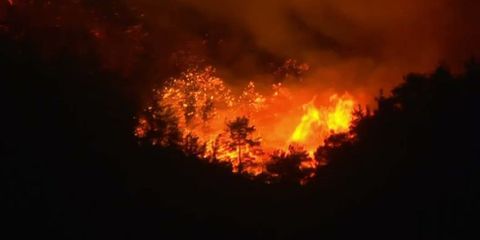 Φωτιά στην Αλεξανδρούπολη: Δύο παιδιά ανάμεσα στους απανθρακωμένους που βρέθηκαν στο δάσος της Δαδιάς