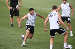 Επιστροφή Τάισον στον ΠΑΟΚ - Ατομικό για Πέλκα και Σορετίρε