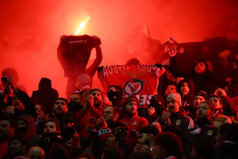 Θρήνος στη Μπενφίκα: Νεκρός βρέθηκε ο αρχηγός των οργανωμένων οπαδών