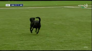 ΟΦΗ - ΑΕΚ: Αξιαγάπητος σκυλάκος εισέβαλε στον αγωνιστικό χώρο!