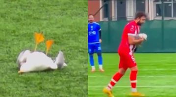 Ποδοσφαιριστής έσωσε γλάρο με ΚΑΡΠΑ μετά από χτύπημα από βολέ τερματοφύλακα (vid)