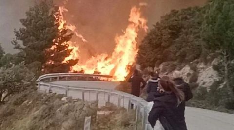 Λευκάδα: Φωτιά σε δάσος στον Άγιο Νικήτα – Σηκώθηκε ελικόπτερο