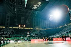 Εντυπωσιακές εικόνες: Το ΟΑΚΑ «βάφτηκε» στα χρώματα του Παναθηναϊκού με εκπληκτικό κορεό