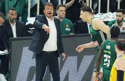 «Βόμβα» Αταμάν: «Αν δεν πάμε στο Final 4, δεν θα είμαι προπονητής του Παναθηναϊκού»