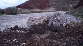 Γεράσιμος Παπαδόπουλος: Ο Απρίλιος είναι ο μήνας ισχυρών σεισμών στην Ελλάδα