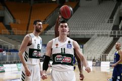 Το «πράσινο» story του Χεζόνια για το «αντίο» του Νίκου Παππά