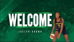 Νέο μεταγραφικό «χτύπημα» του Παναθηναϊκού: Πράσινη και η Μπράουν!