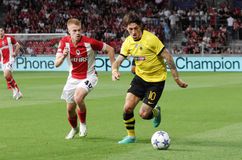 Βερμέερεν: «Ήταν αίμα, ιδρώτας και δάκρυα κόντρα στην ΑΕΚ»