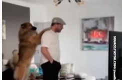 Ο προπονητής της Κολωνίας τρελάθηκε ενώ έβλεπε τον αγώνα της ομάδας του από το σπίτι! (vid)