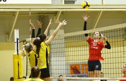 Ξεχωρίζει το ΠΑΟΚ - ΑΕΚ τη δεύτερη αγωνιστική της Volleyleague γυναικών