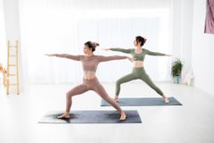 Yoga Stretches: Οι Καλύτερες Διατάσεις για Ευλυγισία, Αποκατάσταση και Ηρεμία