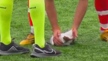 Δεν άντεξε ο γλάρος που τραυματίστηκε από βολέ τερματοφύλακα - Περαστικός τον βρήκε στα σκουπίδια και τον έθαψε