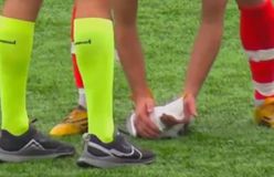 Δεν άντεξε ο γλάρος που τραυματίστηκε από βολέ τερματοφύλακα - Περαστικός τον βρήκε στα σκουπίδια και τον έθαψε