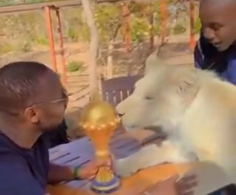 Μετά το στρατόπεδο της Σενεγάλης το τρόπαιο του Copa Africa και στα λιοντάρια!  (vid)