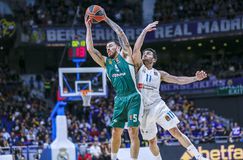 Οι επιλογές του Παναθηναϊκού μετά τον Καμπάτσο - Ο Μάικ Τζέιμς και η αγορά του NBA