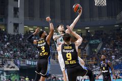 Στο Βελιγράδι ο Παναθηναϊκός με απουσίες για τον αγώνα κόντρα στη Μακάμπι