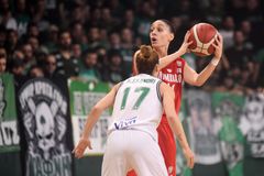 Ντέρμπι «αιωνίων» στο ΣΕΦ, ο Ολυμπιακός φιλοξενεί τον Παναθηναϊκό - Που θα δείτε τον αγώνα