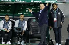 Τερίμ: «Στενοχωρημένοι για τους βαθμούς που έχουμε χάσει, θα το διορθώσουμε στα playoffs» (vid)