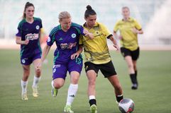 Κουπτσίδης: «Η Αστυνομία είχε πληροφορίες για "ραντεβού θανάτου" οπαδών ΑΕΚ - Παναθηναϊκού»