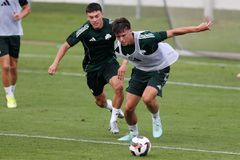 Παναθηναϊκός: Μπήκε στις προπονήσεις ο Φικάι