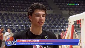 Στογιάκοβιτς: «Δεν έχω αποφασίσει αν θα αγωνιστώ με την εθνική Ελλάδας ή Σερβίας»