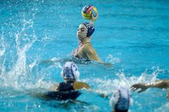 Πρεμιέρα για Ολυμπιακό, Βουλιαγμένη και Άλιμο στο Champions League πόλο γυναικών