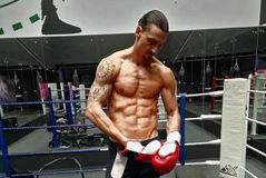 «Καλά Χριστούγεννα σε εσάς και τις συζύγους σας»: Οι ξεχωριστές ευχές του Ζλάταν Ιμπραΐμοβιτς (pic)