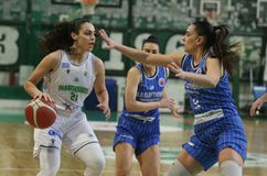 Ο Παναθηναϊκός αντιμετωπίζει την Ελευθερία Μοσχάτου στον τελικό του Κυπέλλου (vid)