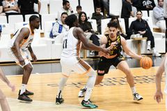 «Πετάει» φουριόζα για τα προημιτελικά του BCL η ΑΕΚ - Ανατροπάρα στην Πάτρα επί του Προμηθέα