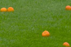 Οι οπαδοί της Σέλτικ πέταξαν μανταρίνια στον αγωνιστικό χώρο ως ένδειξη διαμαρτυρίας για την τιμή των εισιτηρίων