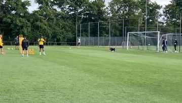 Τα τελειώματα του Κουτέσα