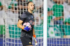 Σοκ με Μπρινιόλι στην ΑΕΚ, μένει 2,5 μήνες εκτός δράσης!