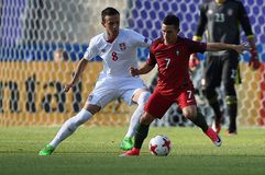 «Μπάσιμο του Ερυθρού Αστέρα για Μαξίμοβιτς – Αδύνατον να ανταγωνιστεί την πρόταση του Παναθηναϊκού»