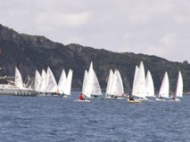 Οι νικητές στο περιφερειακό πρωτάθλημα Ν. Ελλάδας Optimist και ILCA 4 που έγινε στην Πύλο