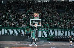 Πάνω από 9.000 οπαδοί του Παναθηναϊκού στην προπόνηση (vids, gallery)