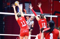 LIVE: ΟΛΥΜΠΙΑΚΟΣ - ΠΑΟΚ