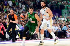 Ο λύκος είναι η δύναμη της αγέλης, η αγέλη είναι η δύναμη του λύκου!