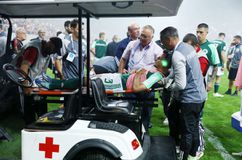 «Κατέστη σαφές ότι ο ποδοσφαιριστής υπέστη σωματική βλάβη»: Το σκεπτικό της Επιτροπής για την απόρριψη της έφεσης του Ολυμπιακού